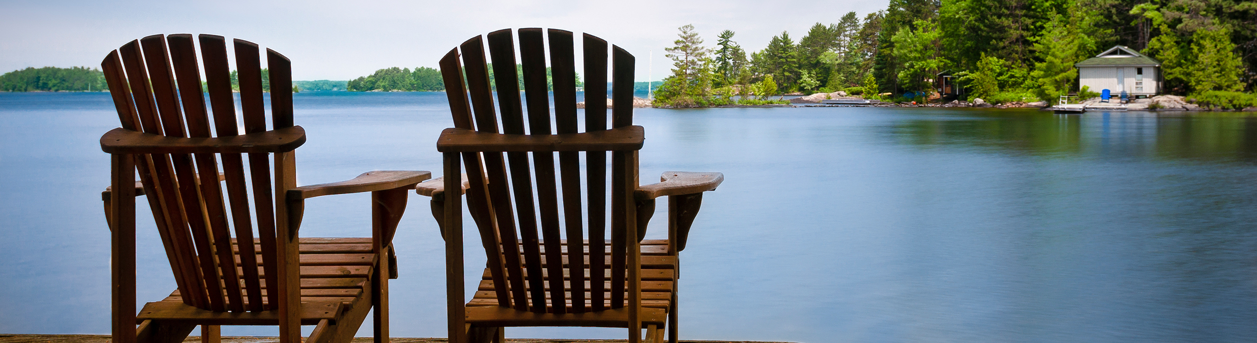 The Kim Musgrave Team